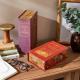 Set of 2 Decorative Classics Book Storage Boxes
